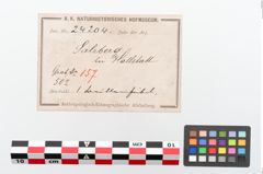 Etiketten zu Bronzebrillenfibel (NHMW-PRAE-024204)